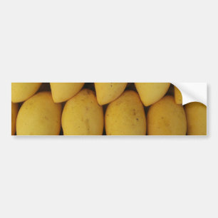 Mango Bumper Sticker
