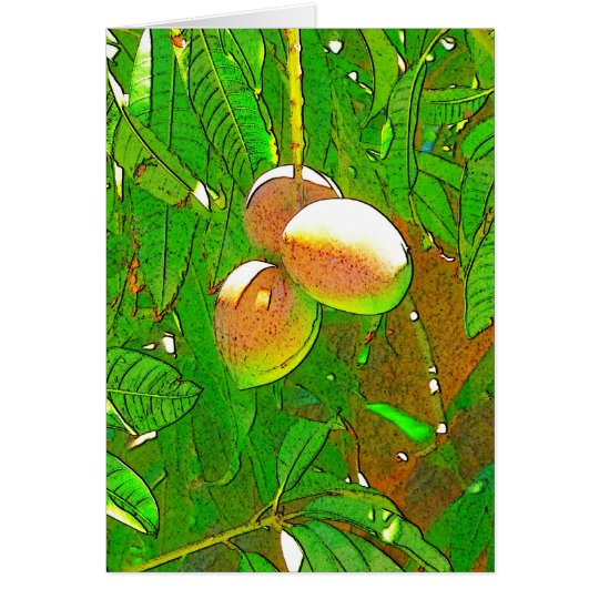 Mango Card
