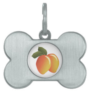 Mango Fruit Pet Tag