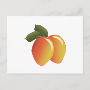 Mango Fruit Postcard