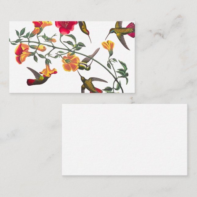 Mango Hummingbird by John James Audubon Business Card (Front/Back)