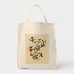 Mango Hummingbird from Audubon's Birds of America Tote Bag