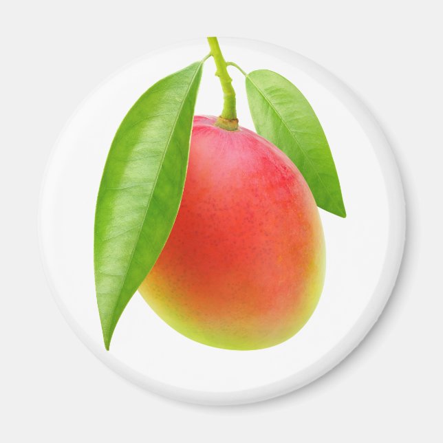 Mango Magnet (Front)
