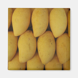 Mango Magnet