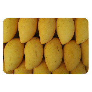 Mango Magnet