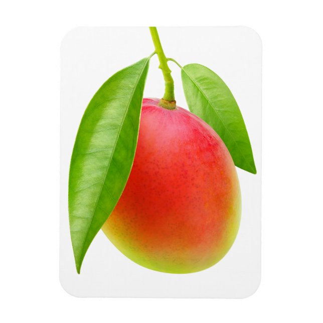 Mango Magnet (Vertical)