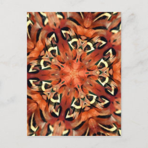 Mango Pheasant Feather Kaleidoscope Mandala Postcard