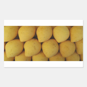 Mango Rectangular Sticker