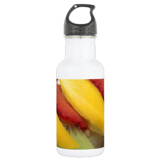 Mango Rice Sushi Food Plate Meal Cuisine 532 Ml Water Bottle