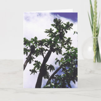 Mango Tree Card