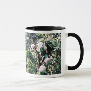 Mango Tree Mug