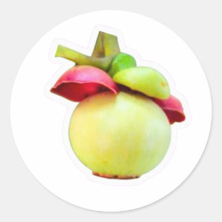 Mangosteen Fruit Sticker, Exotic Lombok Indonesian Classic Round Sticker