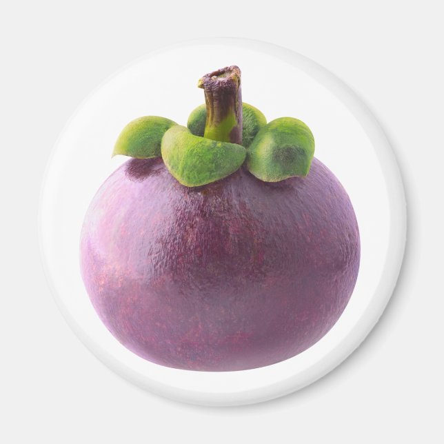 Mangosteen Magnet (Front)