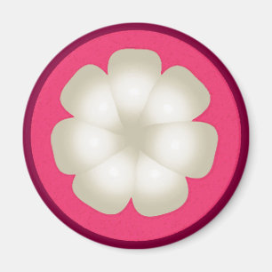 Mangosteen Stylised Exotic Fruit Slice Magnet