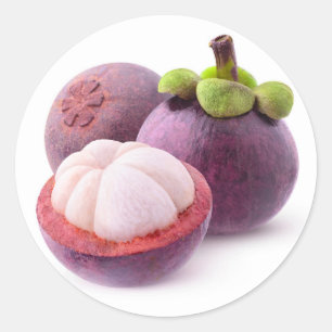 Mangosteens Classic Round Sticker