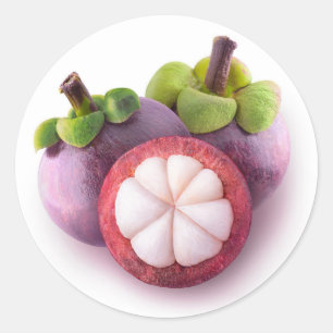 Mangosteens Classic Round Sticker