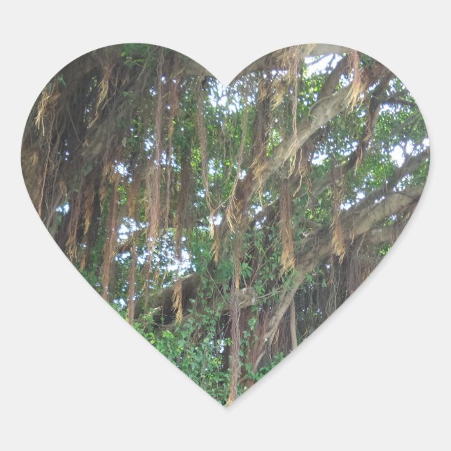 Mangrov Trees Heart Sticker (Front)