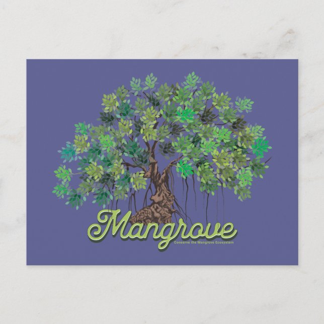 Mangrove Conservation Postcard (Front)