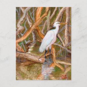 Mangrove Egret No. 2 Postcard
