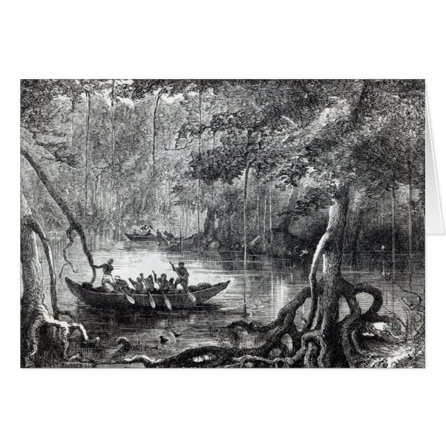 Mangrove Forest' (Front Horizontal)