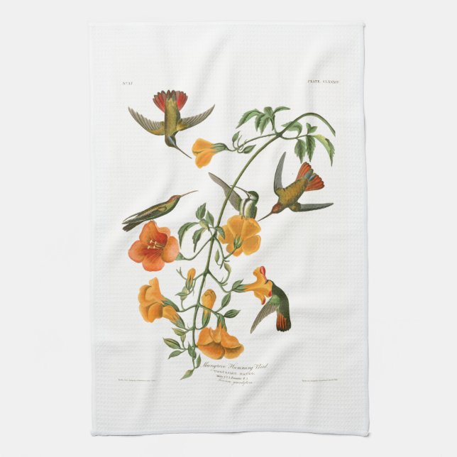 Mangrove Humming Bird Audubon Birds of America Tea Towel (Vertical)