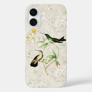 Mangrove Hummingbird iPhone 16 Case