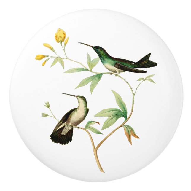 Mangrove Hummingbird Ceramic Knob (Front)