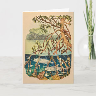Mangrove Island Note Card