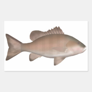 Mangrove Jack Rectangular Sticker
