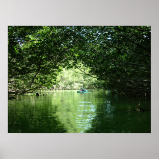 Mangrove Kayaking Poster