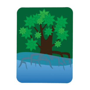 Mangrove Magnet