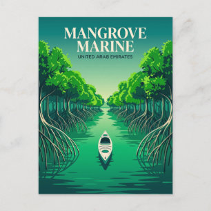 Mangrove Marine National Park United Arab Emirates Postcard