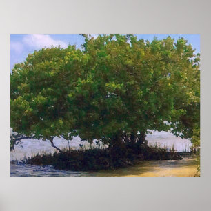 Mangrove on the Gulf Poster