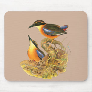 Mangrove Pitta Mouse Mat