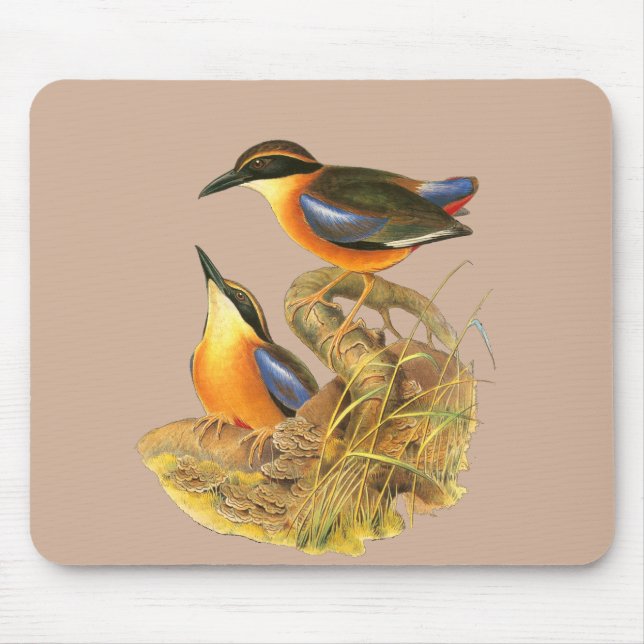 Mangrove Pitta Mouse Mat (Front)