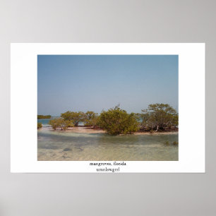 mangroves, florida poster