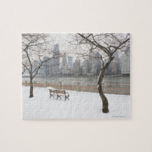 Manhattan in the Winter Jigsaw Puzzle