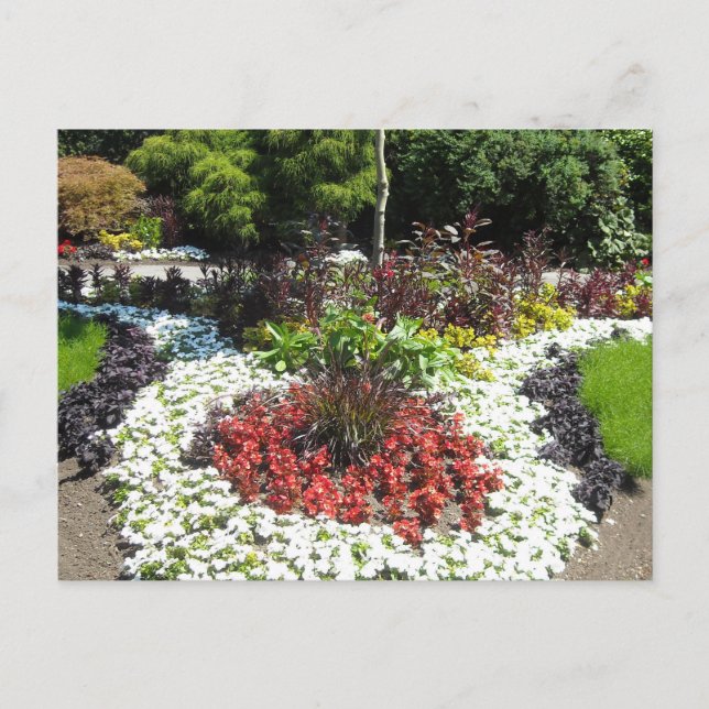 Manicured Garden Postcard (Front)