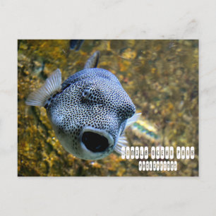 Manila Ocean Park in Philippines Postcard