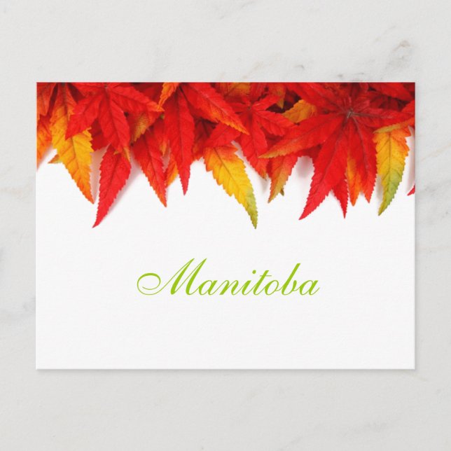 Manitoba Autumn Leaves Postcard (Front)