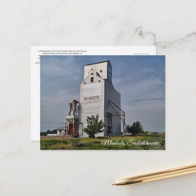 Mankota Grain Elevator Postcard (Front/Back In Situ)