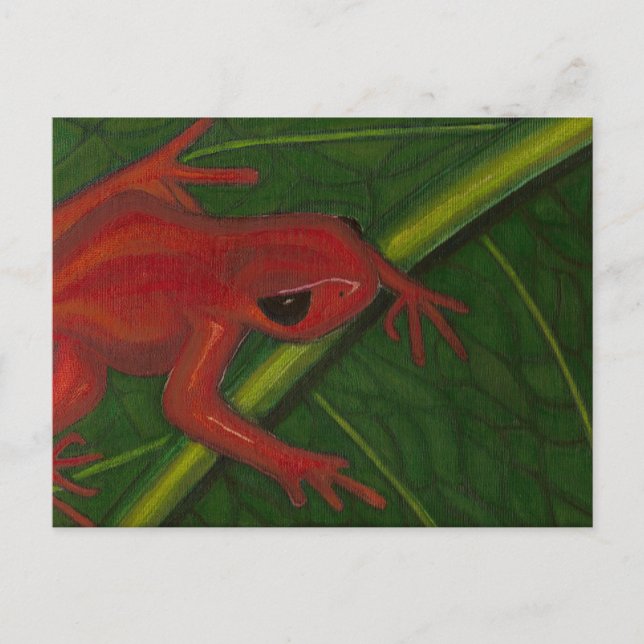 Manny The Mantella (Frog) Postcard (Front)