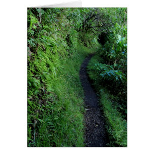 Manoa Cliffs Trail
