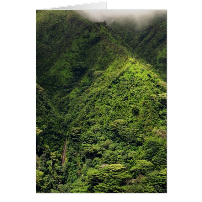 Manoa Falls (Front)