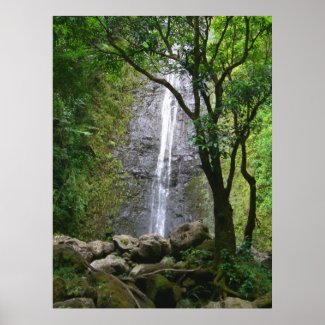 Manoa Falls, O'ahu, Hawai'i Poster