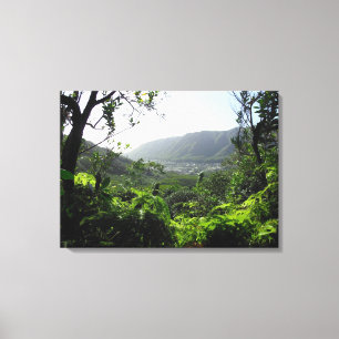 Manoa Valley, Hawaii Canvas Print