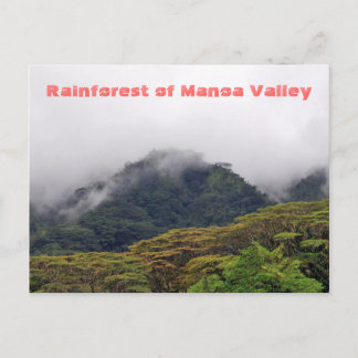 Manoa Valley Rainforest Postcard