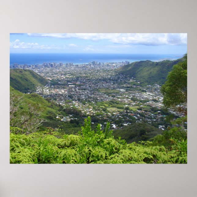 Manoa Valley to Waikiki Poster (Front)