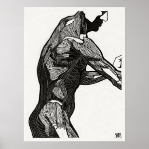 Man's Anatomy 4 Poster