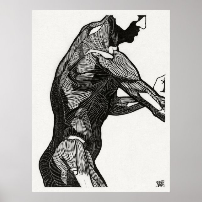 Man's Anatomy 4 Poster (Front)